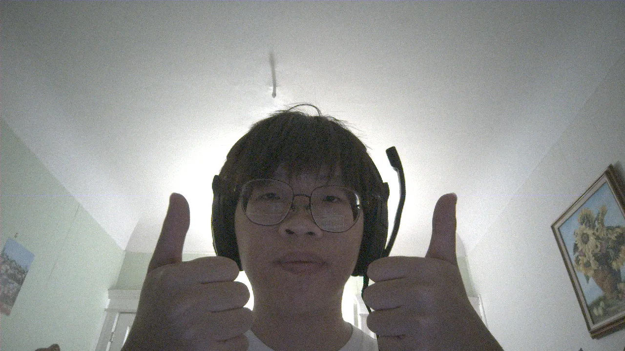 Working webcam frame after SoftISP on Intel Arc